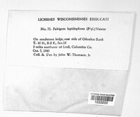 Image Associated With the Occurence